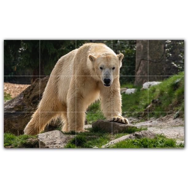 Polar Bear Decorative Ceramic Wall Art Tile 8x8 Polar Bear Decorative Ceramic Wall Art Tile 8x8